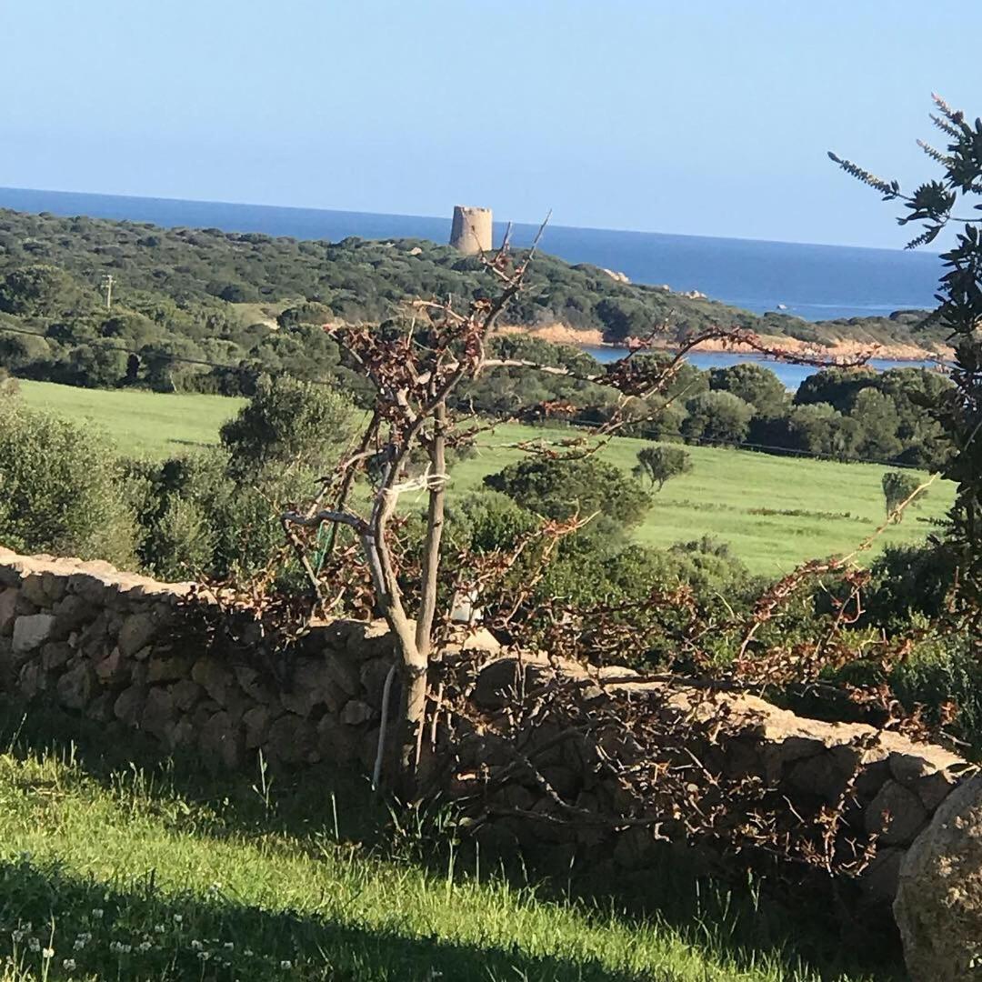 Stazzo La Foci Soluzioni Vista Mare Βίλα Aglientu Εξωτερικό φωτογραφία